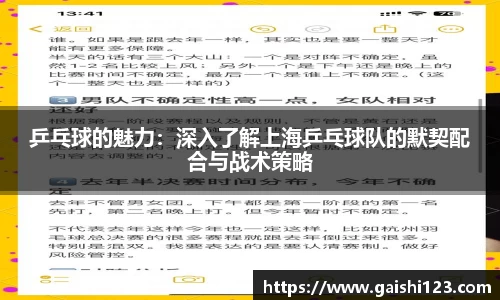 乒乓球的魅力：深入了解上海乒乓球队的默契配合与战术策略